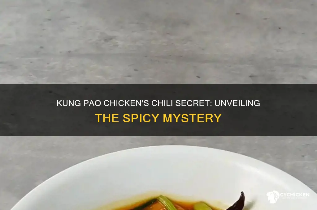 what chili is in kung pao chicken
