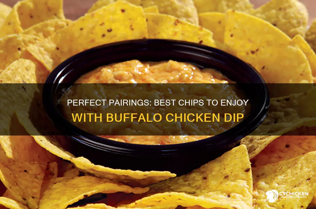 what chip goes with buffalo chicken dip