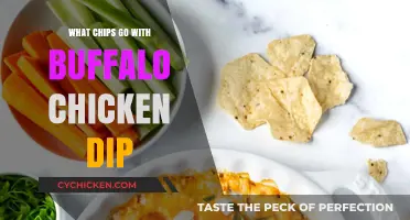 Perfect Pairings: Best Chips to Enjoy with Buffalo Chicken Dip