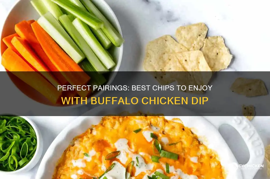 what chips go with buffalo chicken dip