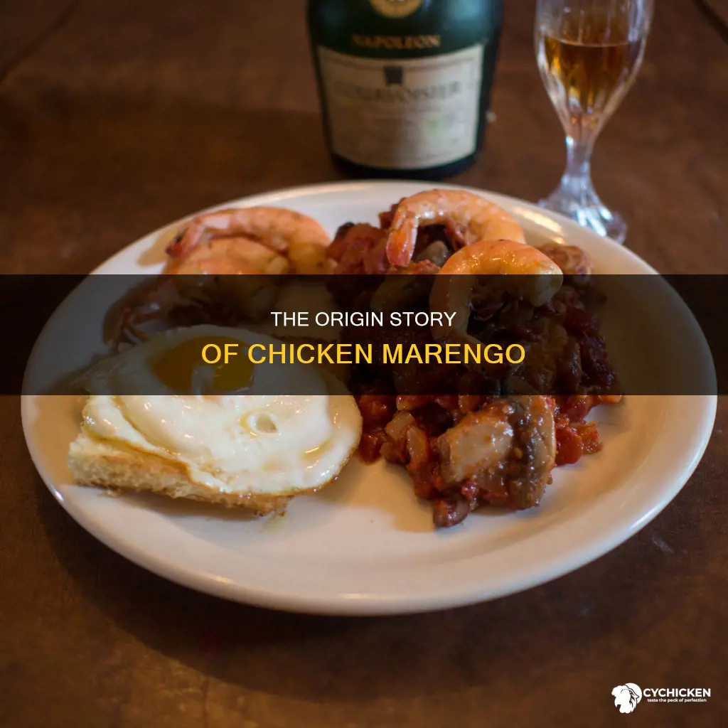 what city and state did chicken marengo come from