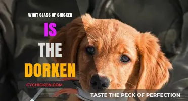 Unveiling the Dorken: Exploring the Unique Chicken Breed Classification