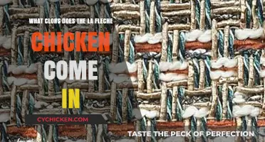 La Fleche Chicken: Exploring Their Color Varieties