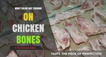 Unveiling the True Color of Tendons on Chicken Bones