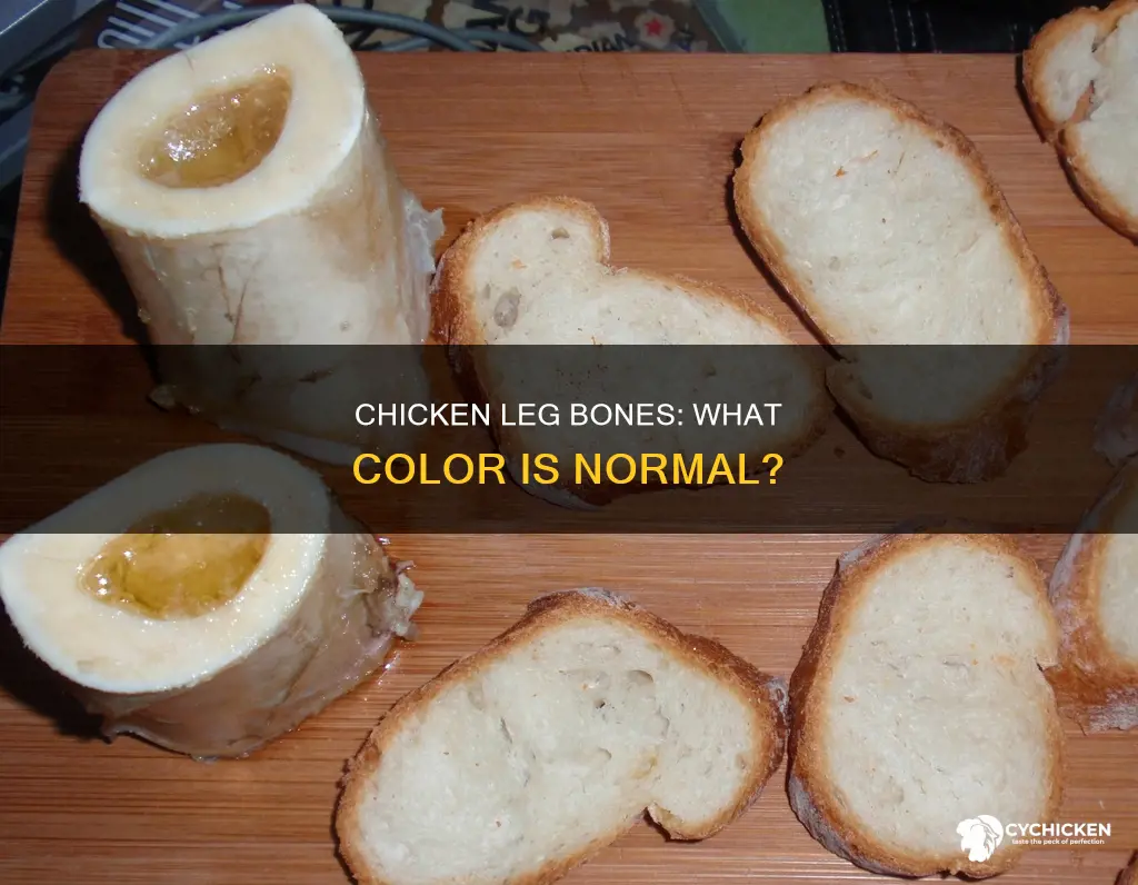 what color bone marrow in a raw chicken leg