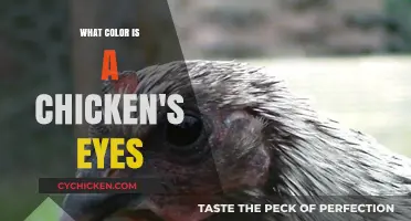 Unveiling the Surprising Truth About Chicken Eye Colors