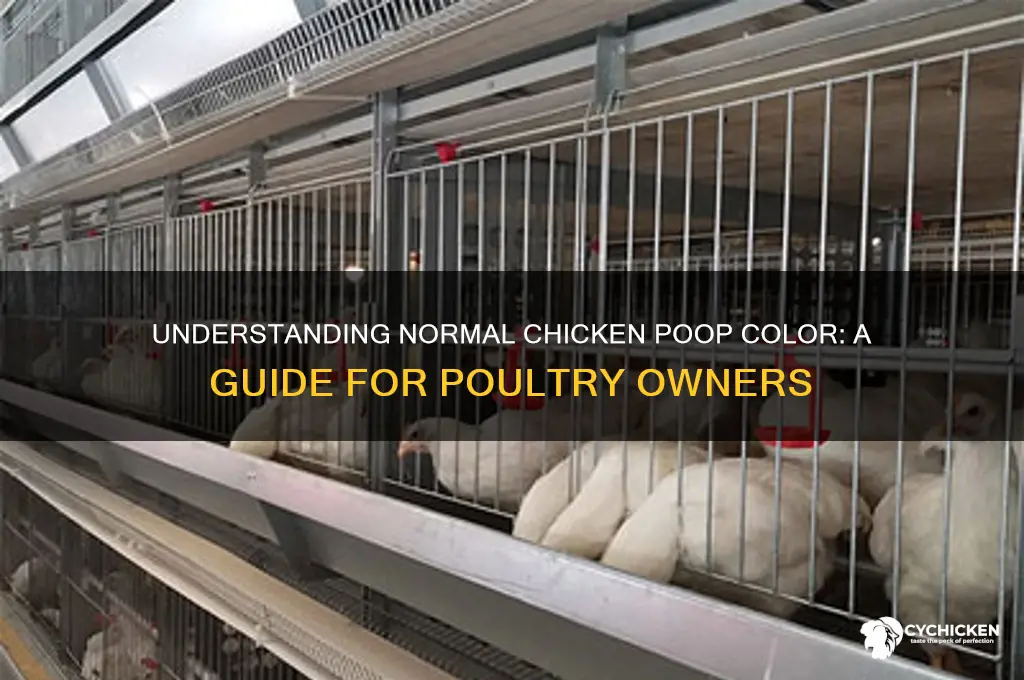 what color is chicken poop supposed to be