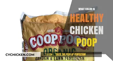 Decoding Chicken Health: The Colorful World of Poultry Poop