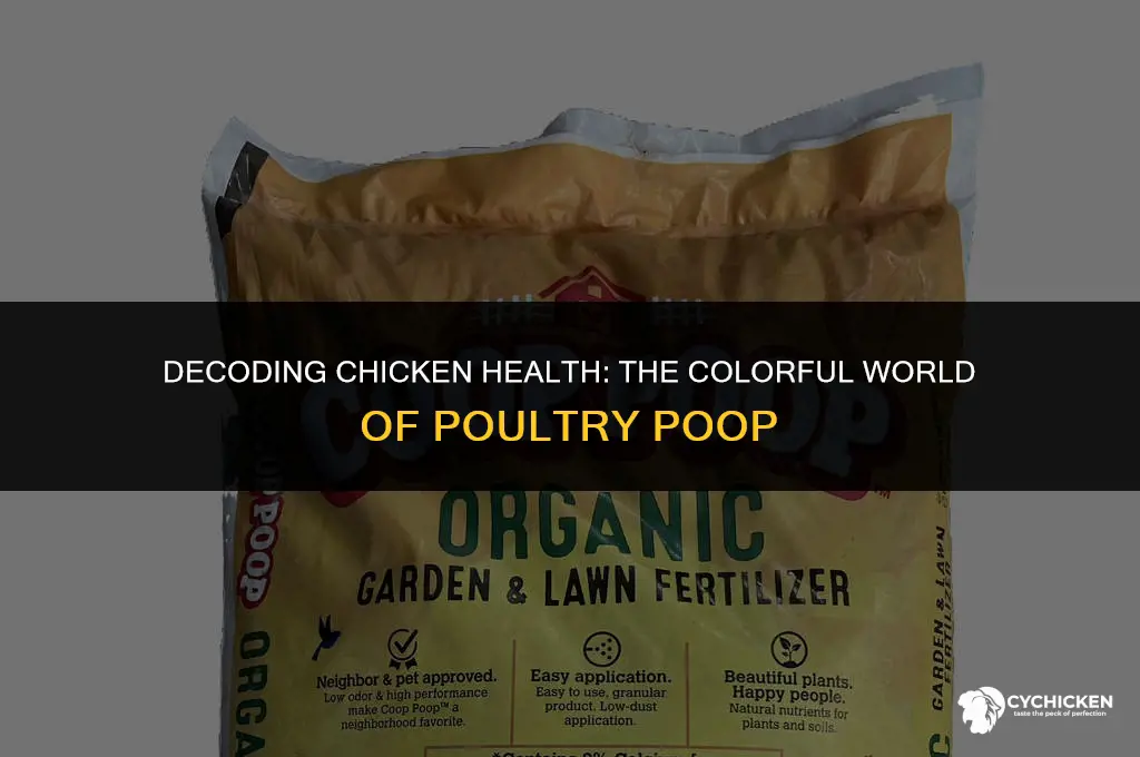 what color is healthy chicken poop