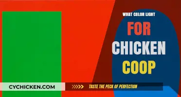 Optimal Lighting for Chicken Coops: A Guide to Color and Intensity