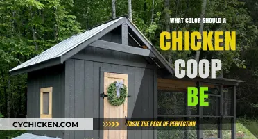 Choosing the Perfect Hue: A Guide to Chicken Coop Colors