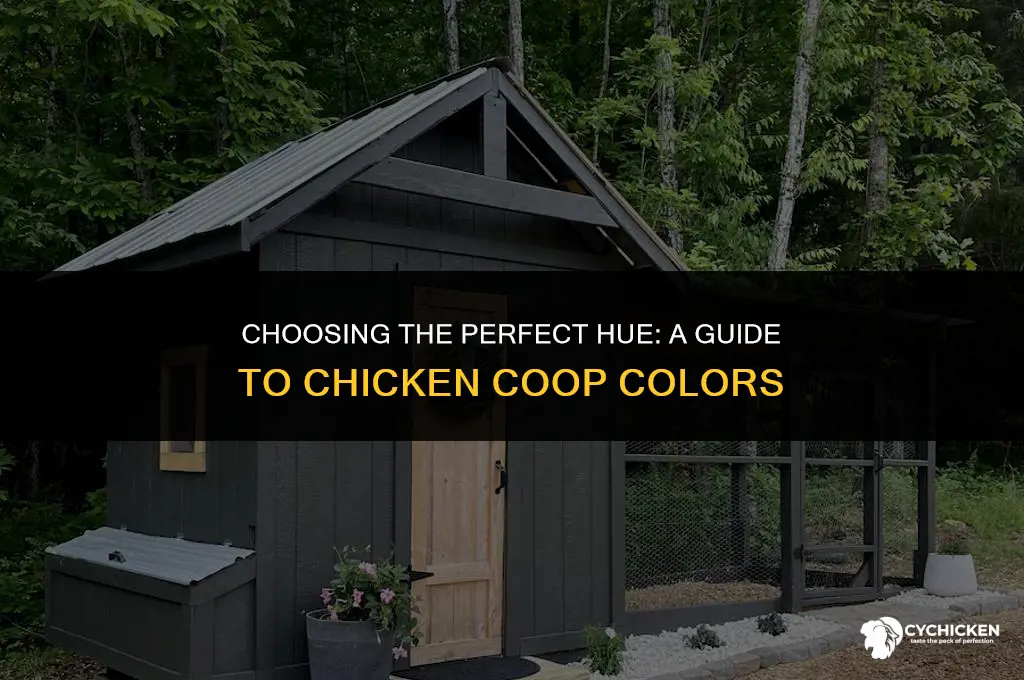 what color should a chicken coop be