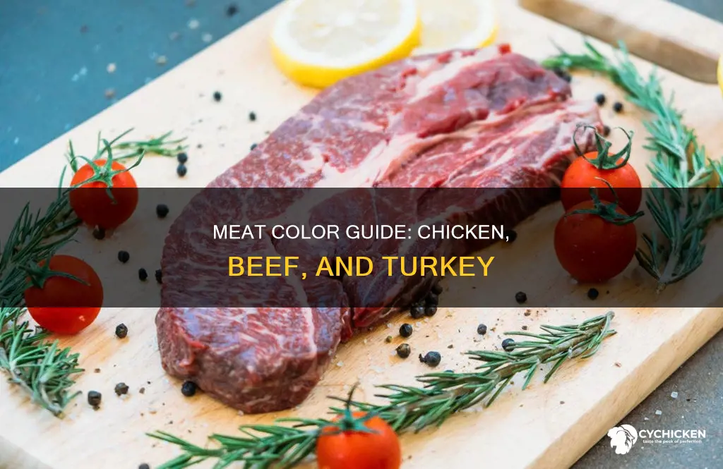what color should chicken and beef and turkey be