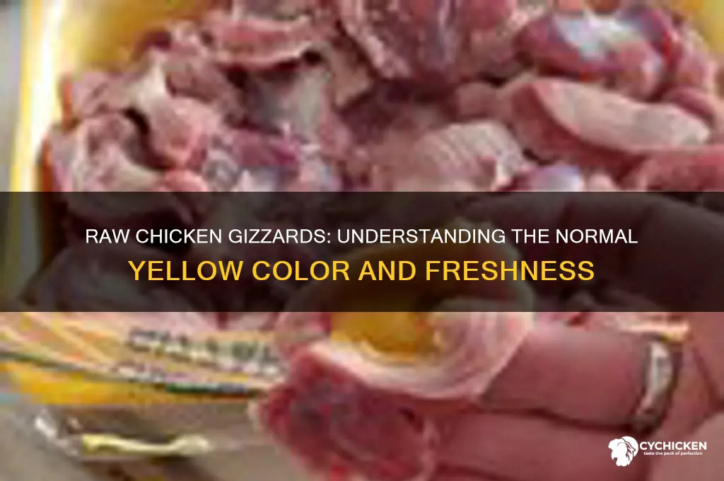 what color should chicken gizzards be raw yellow