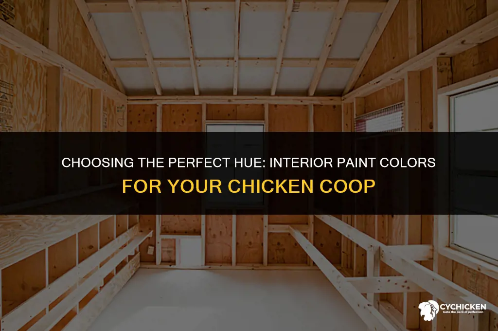 what color to paint inside of chicken coop
