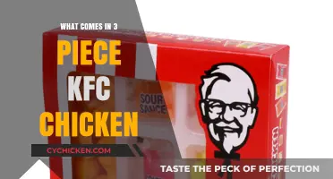 KFC's 3-Piece Chicken: Unboxing the Perfect Combo Meal
