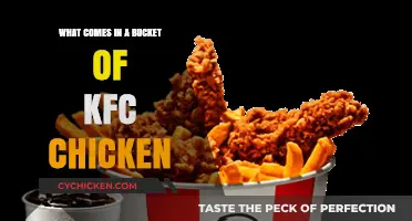Unboxing KFC's Bucket: What's Inside the Iconic Chicken Meal?