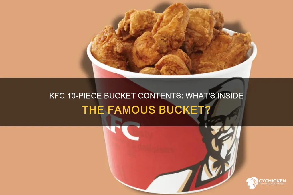 what comes in a kfc 10 piece bucket