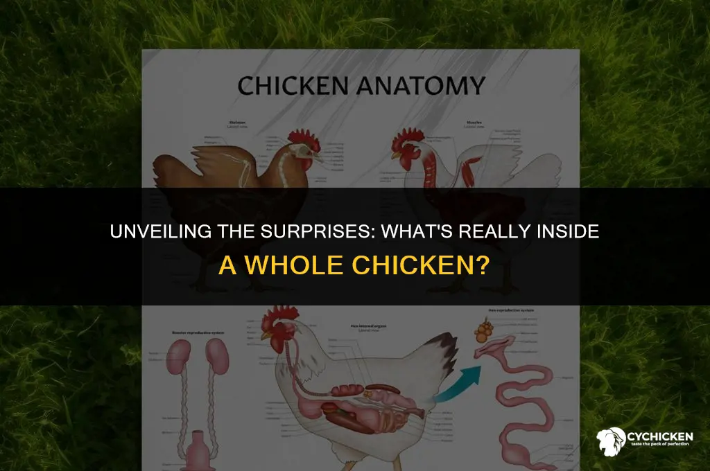 what comes inside a whole chicken