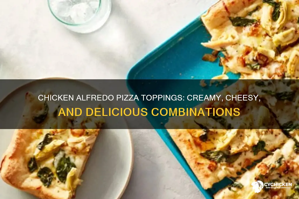what comes on a chicken alferdo pizza