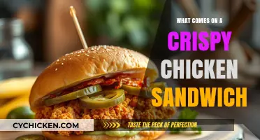 Crispy Chicken Sandwich Essentials: Toppings, Sauces, and Perfect Pairings