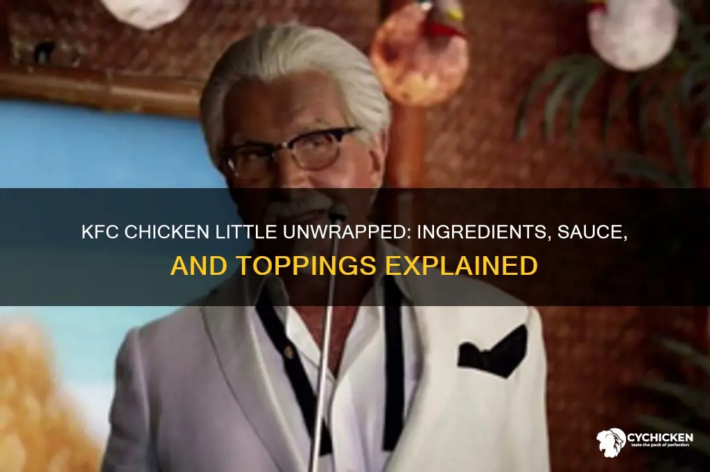 what comes on a kfc chicken little