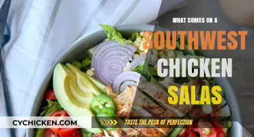 Savor the Flavor: A Guide to Southwest Chicken Salad Toppings