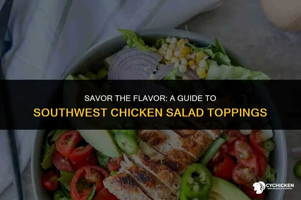 what comes on a southwest chicken salas