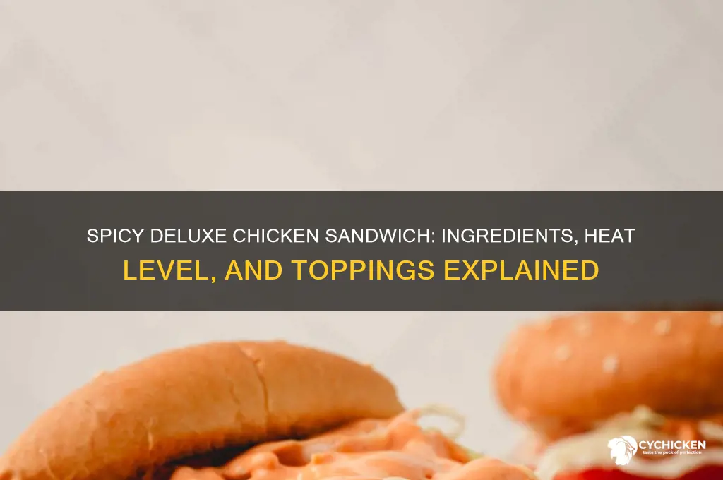 what comes on a spicy deluxe chicken sandwich