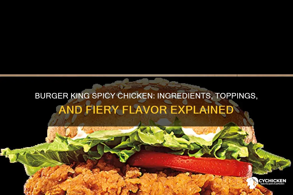 what comes on burger king spicy chicken