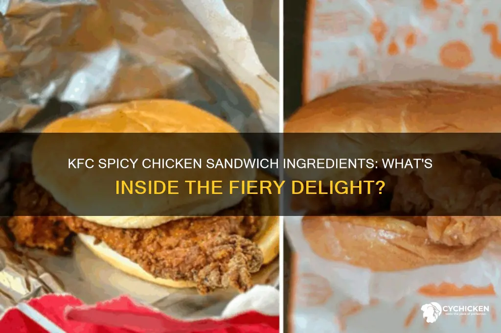 what comes on kfc spicy chicken sandwich