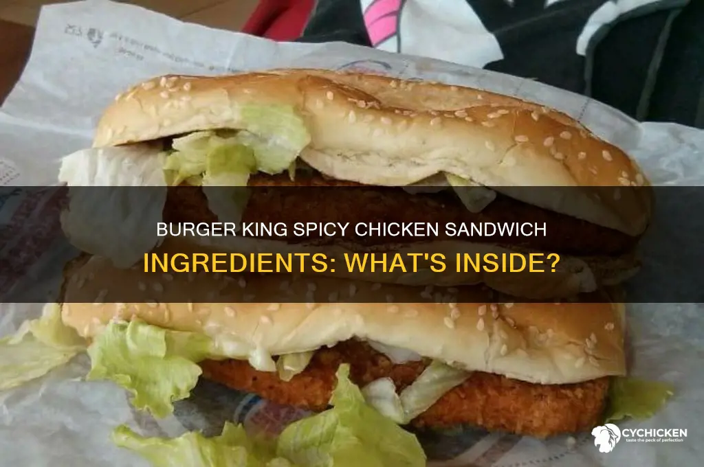 what comes on the burger king spicy chicken sandwich