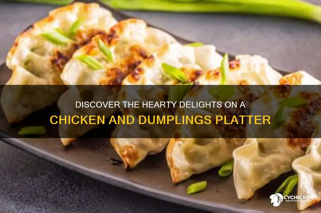 what comes on the chicken an dumplings platter