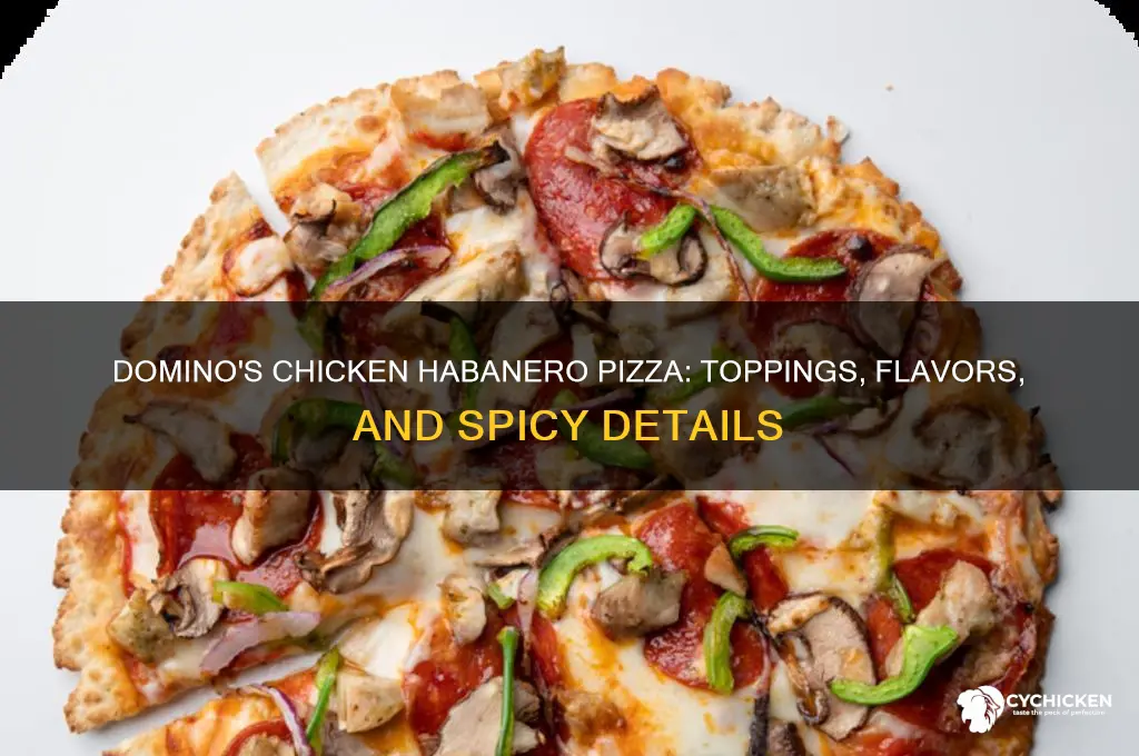 what comes on the chicken habanero dominos