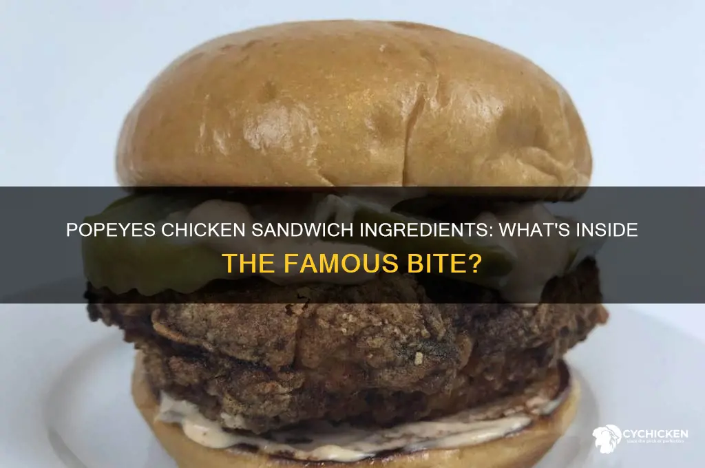 what comes on the popeys chicken sandwhich