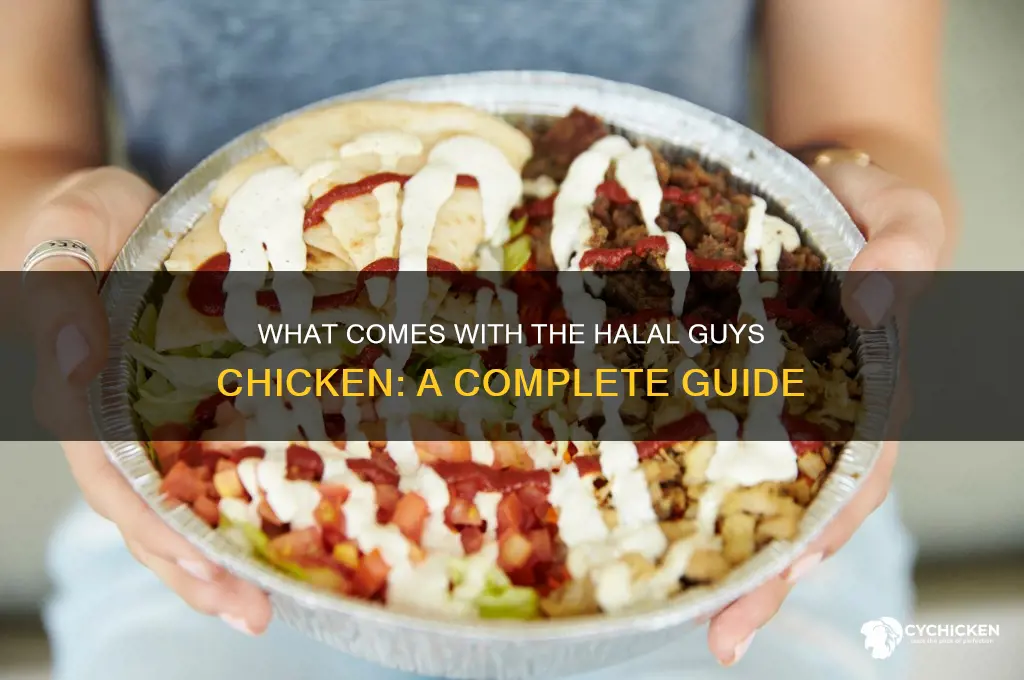 what comes with the halal guys chicken