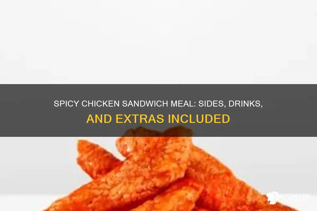 what comes with the spicy chicken sandwich meal at