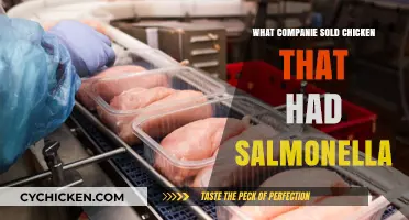 Salmonella Outbreak: Which Companies Sold Contaminated Chicken Products?