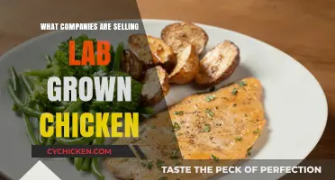 Lab-Grown Chicken: Which Companies Are Leading the Cultured Meat Revolution?