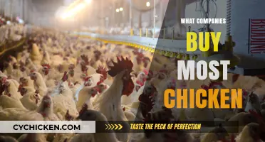 Top Corporate Chicken Buyers: Who's Leading the Poultry Procurement Race?