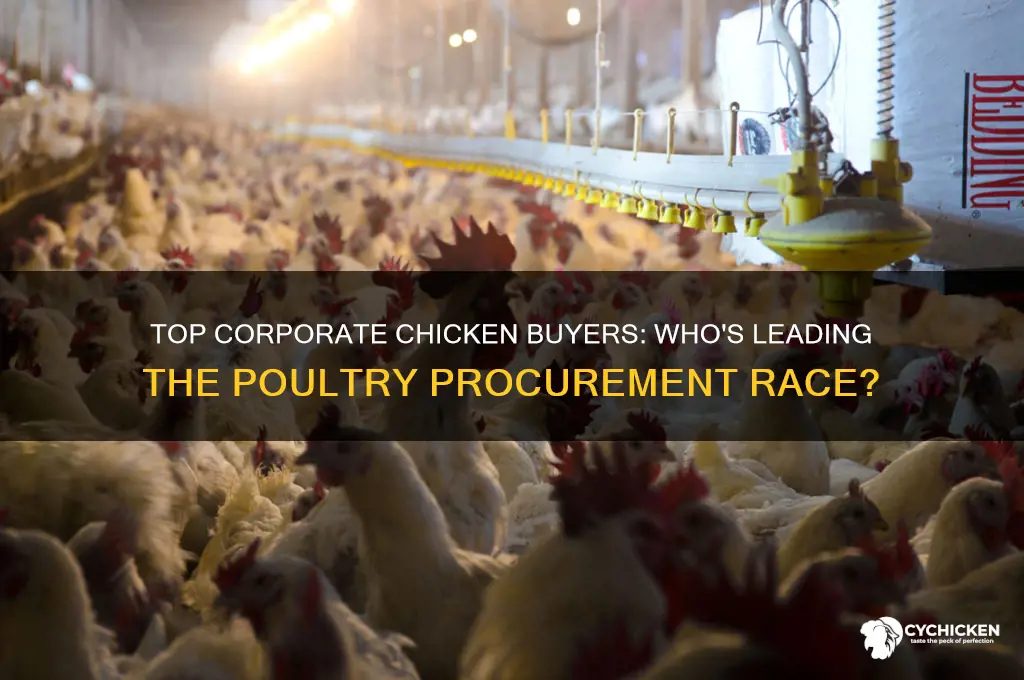 what companies buy most chicken