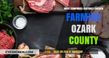 Ozark County Chicken Farming: Key Companies and Contracts Explained