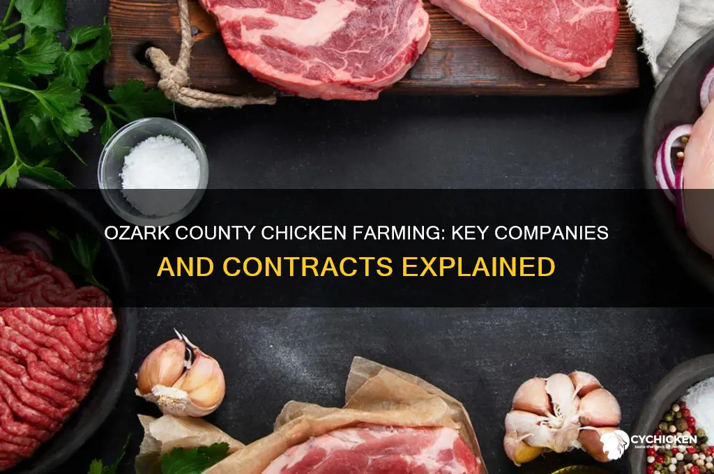 what companies contract chicken farming ozark county