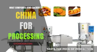 Unveiling the Supply Chain: Which Companies Export Chicken to China for Processing?