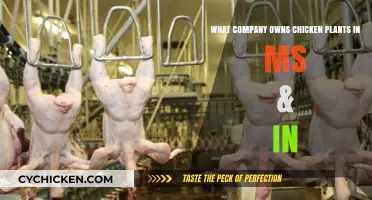Mississippi & Indiana Chicken Plants: Which Company Owns Them?