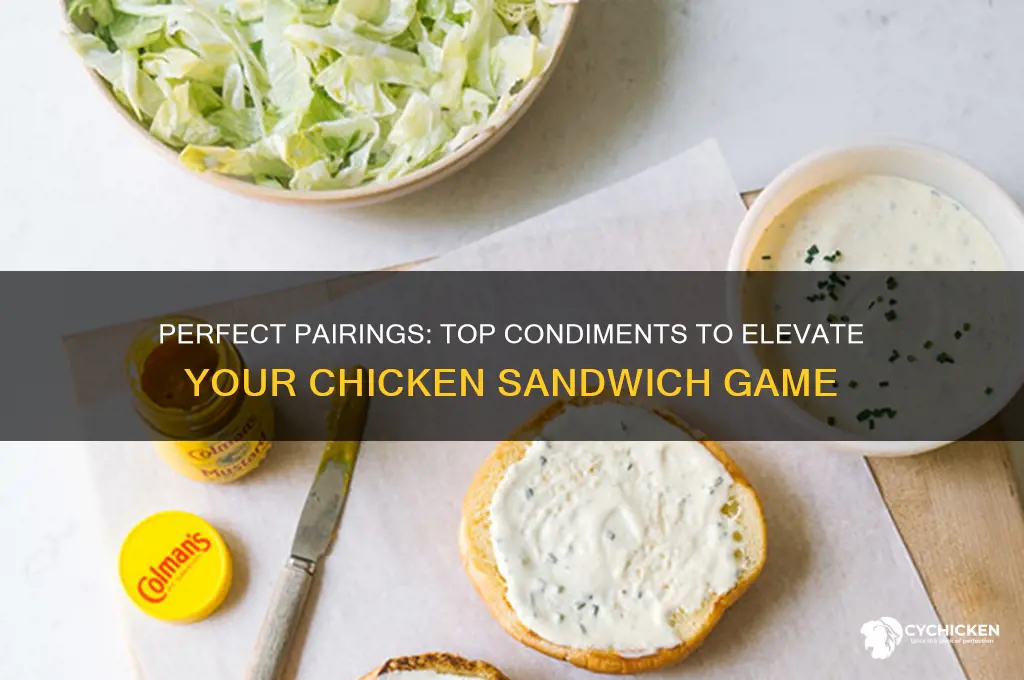 what condiment goes well with a chicken sandwich