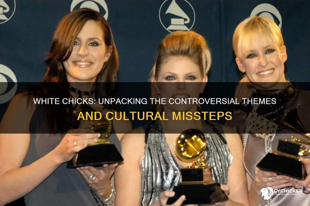 what controvesial things does white chick movie have