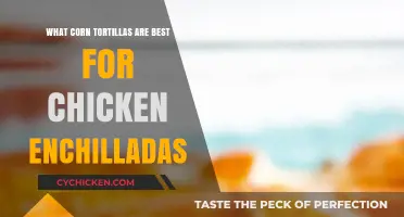Perfect Chicken Enchiladas: Top Corn Tortilla Picks for Flavor & Texture