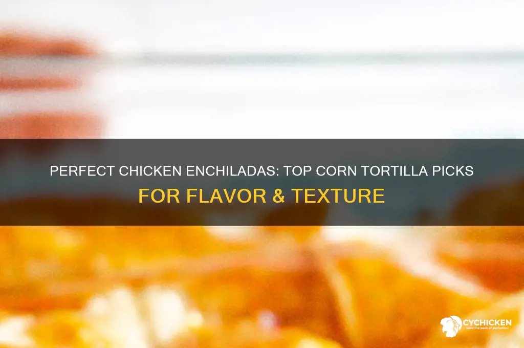 what corn tortillas are best for chicken enchilladas