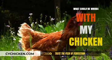 Troubleshooting Your Chicken's Health: Common Issues and Solutions Explained